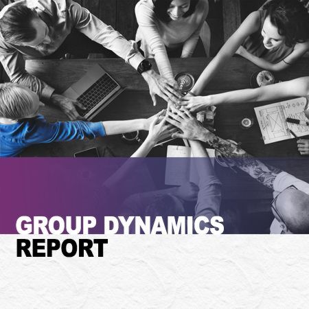 Online DISC Group Dynamics Report