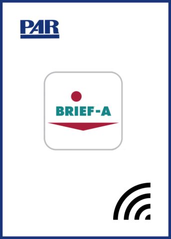 Online BRIEF-A Interpretive Reports (pkg 5)