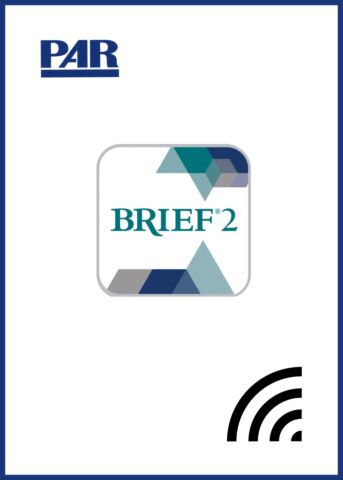 Online BRIEF 2 Self-Report Score/Interpretive Report (pkg 5)