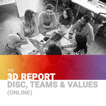 Online DISC with Teams & Values Report