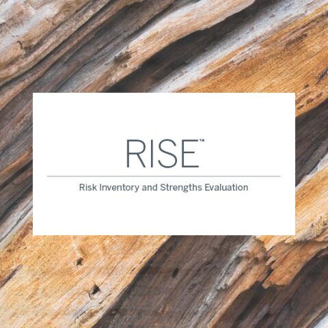 RISE Online Kit